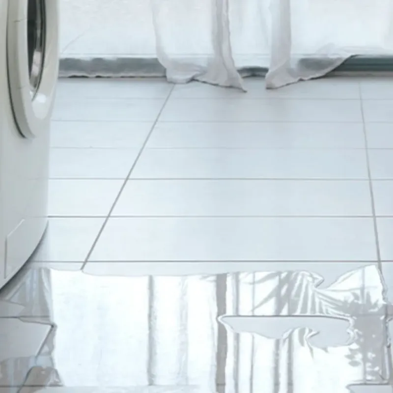 Appliance Leak Cleanup in Watson, LA