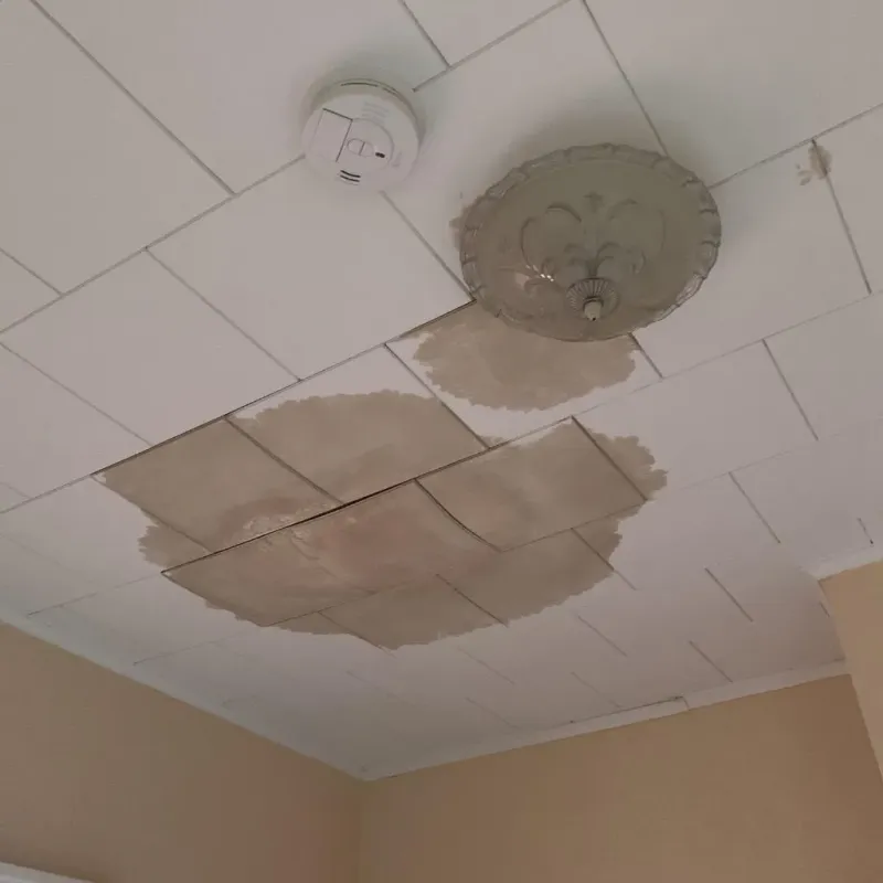 Ceiling Water Damage Repair in Watson, LA